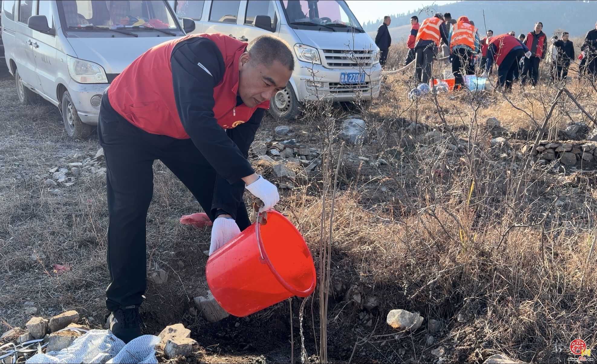 1280株新苗扎根济南黄河畔 国土绿化示范项目再添生态动能