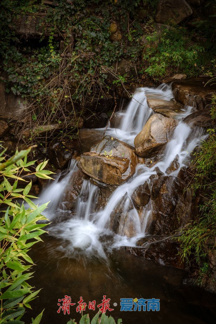 一年四季 泉在济南丨九如山：初秋生态画卷，引客共赴自然之约