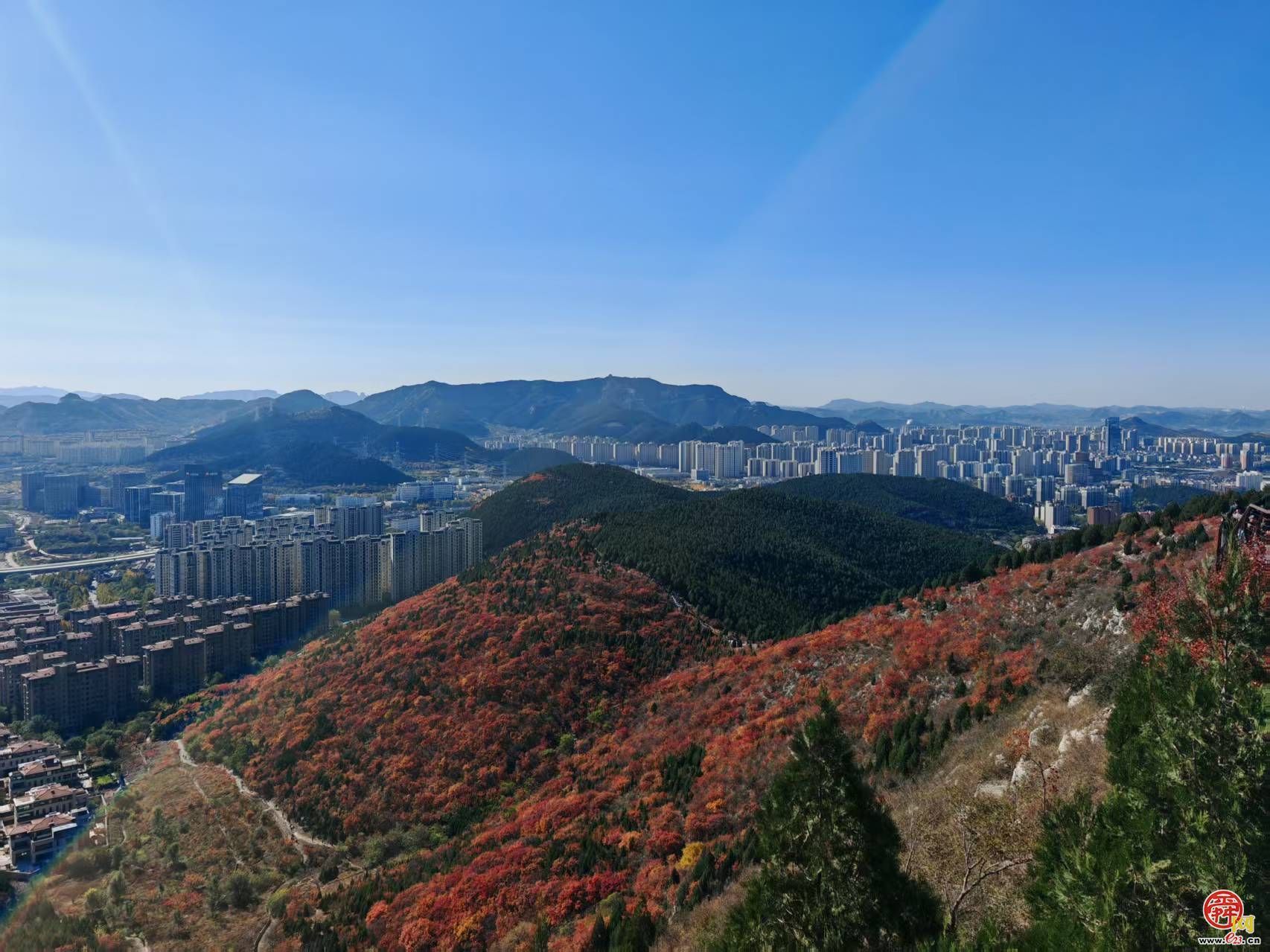 国家地理力荐！济南公交线路直达蝎子山解锁“鸳鸯火锅”红叶奇观