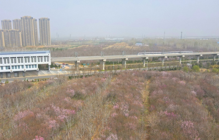 “济南最美地铁线”向你驶来