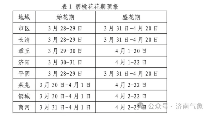 “泉”在济南过五一｜济南发布新花期预报：碧桃花、桃花、梨花始花期较常年略偏晚
