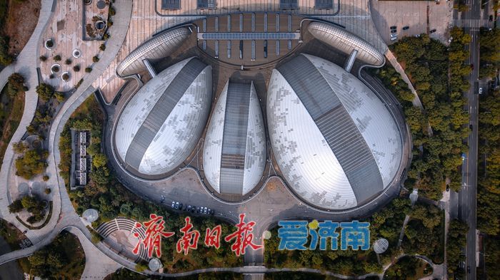 树染金黄，都市秋意正当时