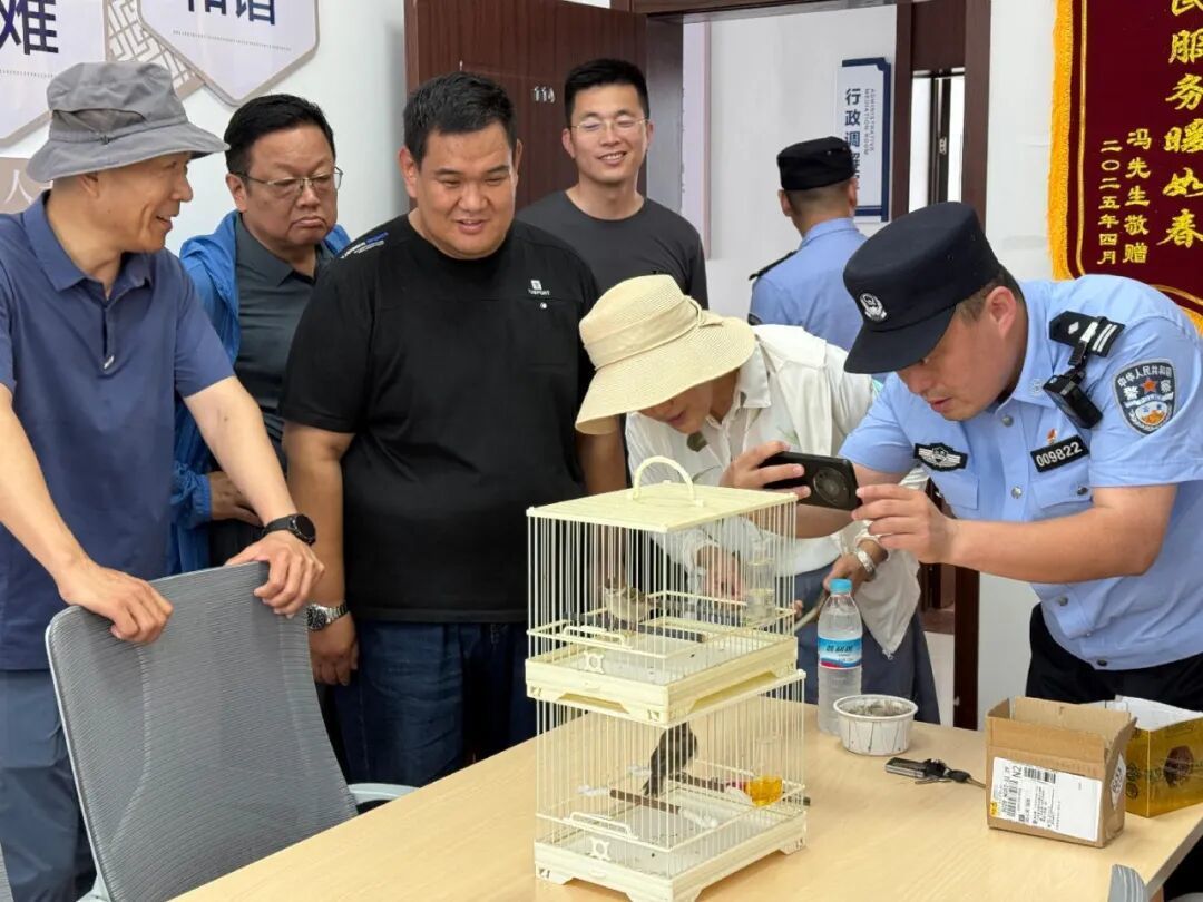 城市因园林更美好 生活因园林更幸福——2025年济南市园林和林业绿化局高质量成果展