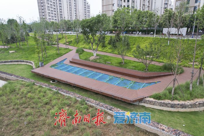 杨家河公园焕新升级，打造生态宜居城市新名片