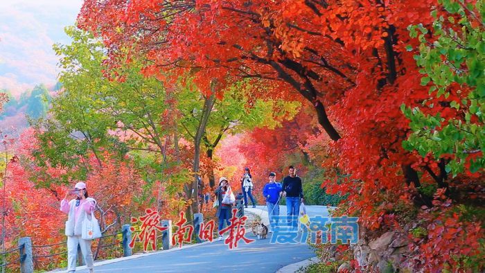 红叶谷第二十六个秋天如约而至 静待万山红遍与你的到来