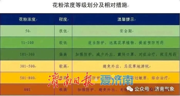 济南花粉浓度较高！蒿属、葎草、藜科花粉为主，高敏感人群做好防护