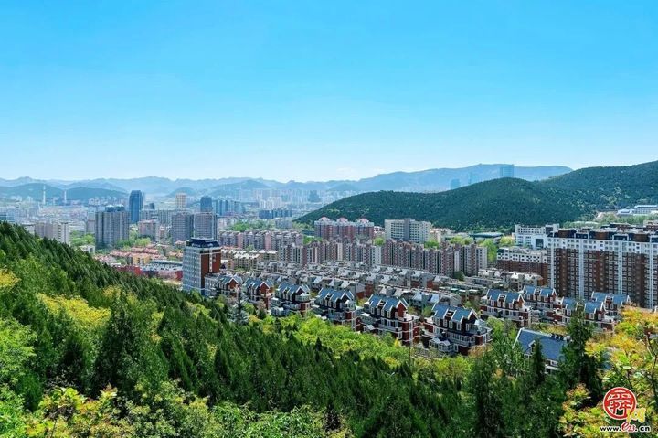 市中区以赛为媒，奋力书写产才融合新答卷