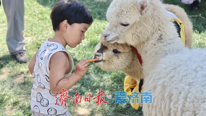 济南这个“网红村”，凭什么逆袭？