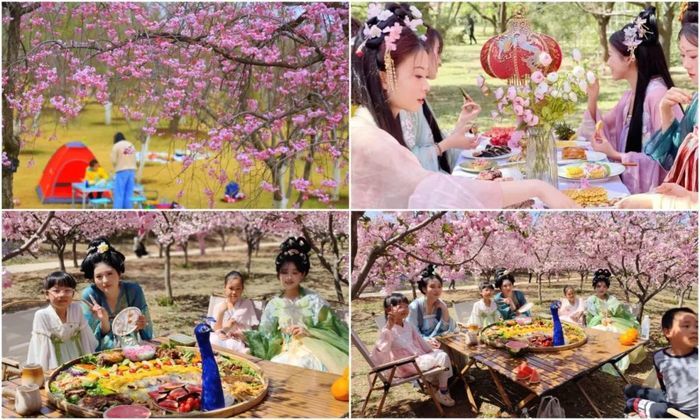 一年四季 泉在济南｜济南植物园“樱落花间宴”约您共赴自然与美食交融的绮梦之约