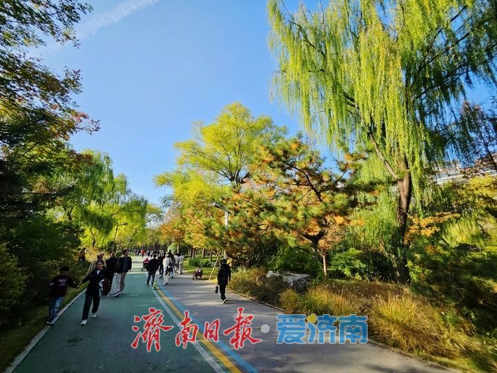 一年四季 泉在济南丨秋色惹人醉 公园秋日美景处处出大片