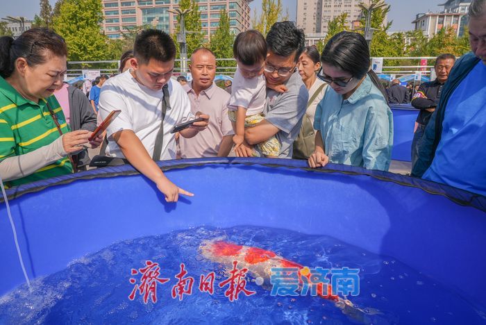 首届“好鲤山东”锦鲤大赛泉城开赛