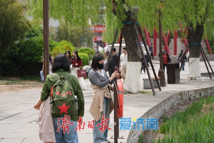 济南大明湖畔春光暖，苍鹭蹁跹入画来