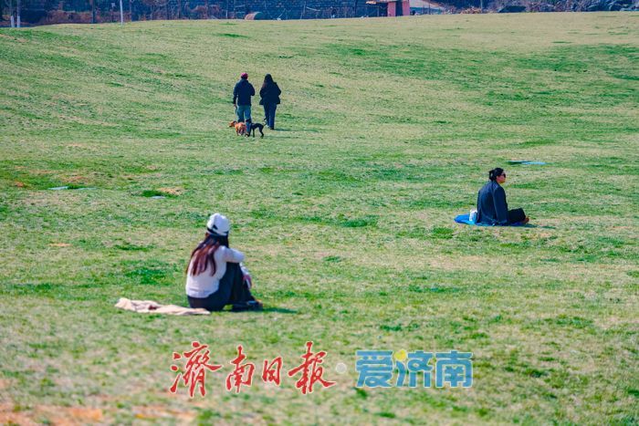 春日暖阳润新绿 菠萝山草坪成“松弛栖息地”