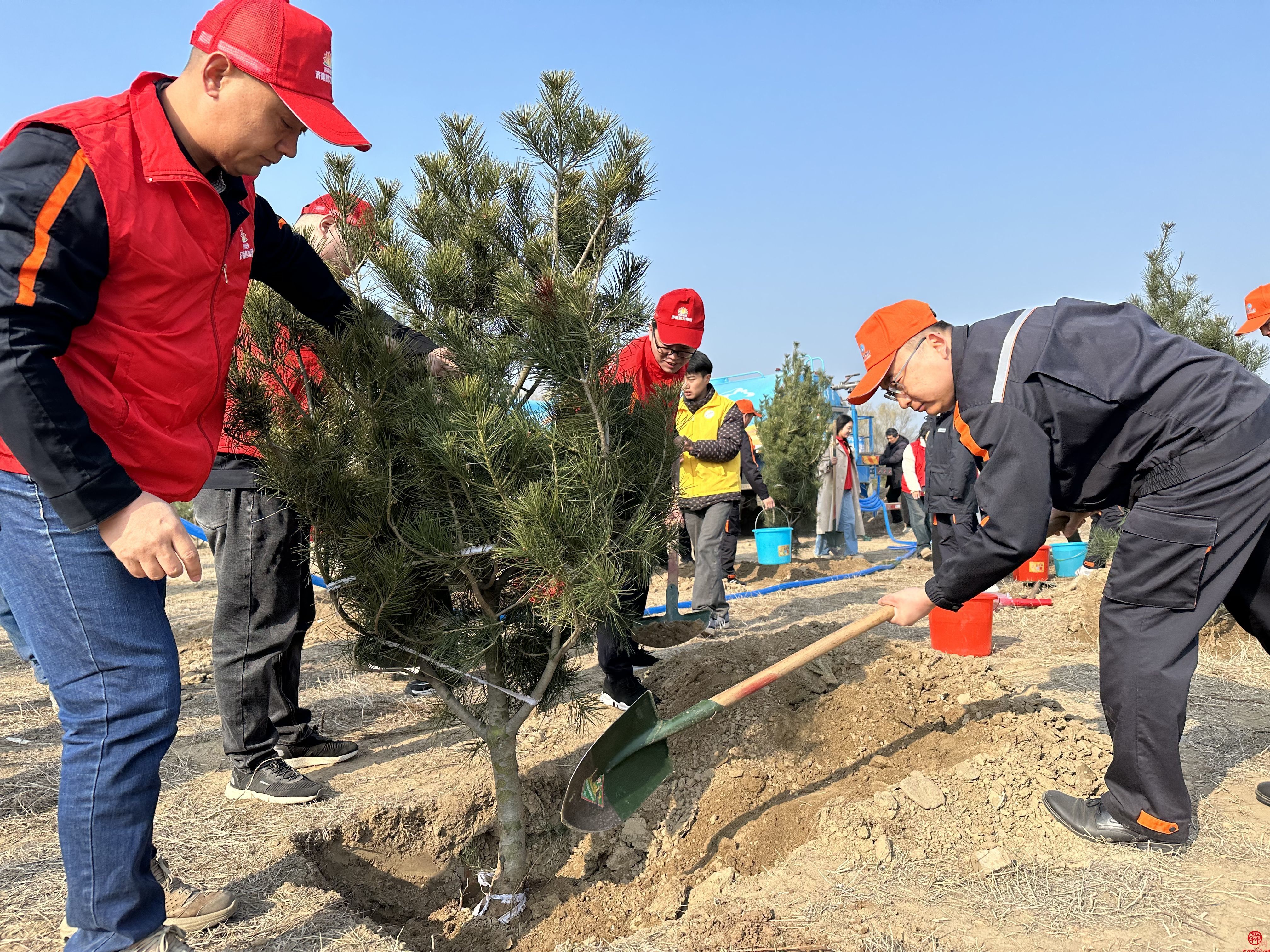 植绿正当时｜ok138cn太阳集团组织党员和团员青年开展义务植树活动