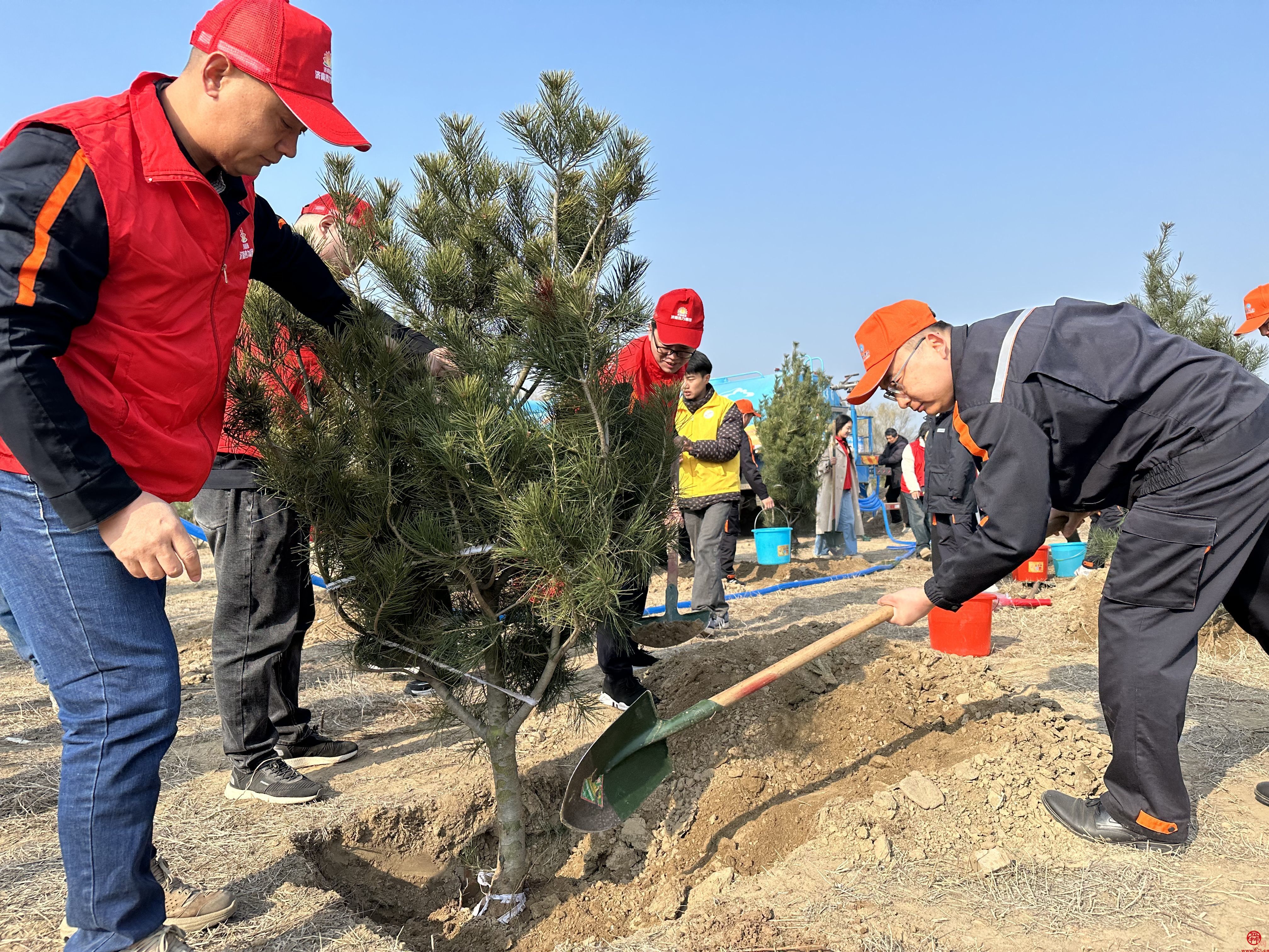 植绿正当时｜济南热力集团组织党员和团员青年开展义务植树活动