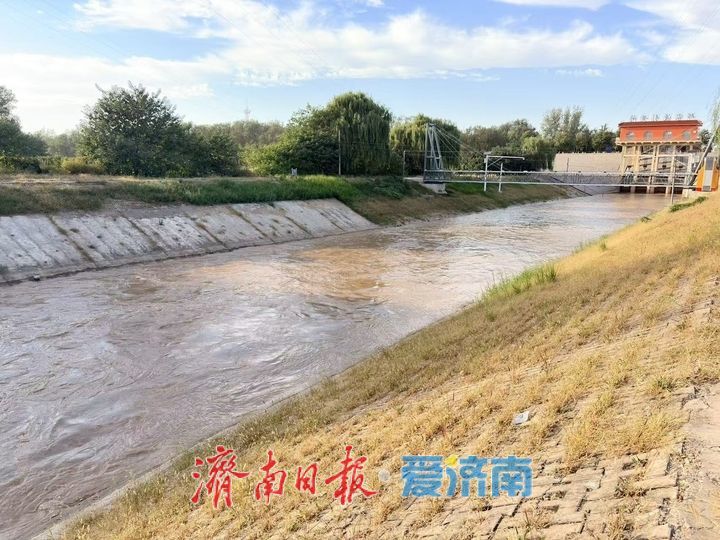 提前启闸引黄抗旱，济南4000万立方米黄河水护航70万亩小麦秋灌