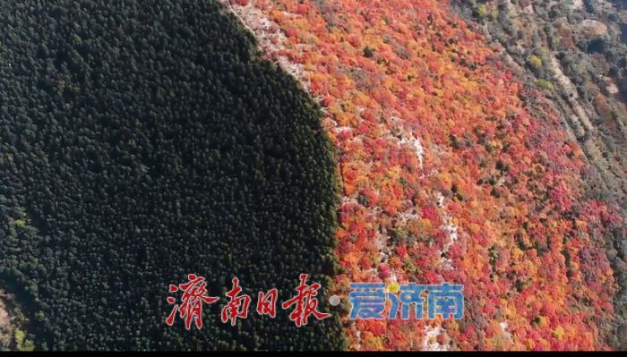 国家地理力荐！济南这些公交线路助您解锁蝎子山“鸳鸯火锅”奇观