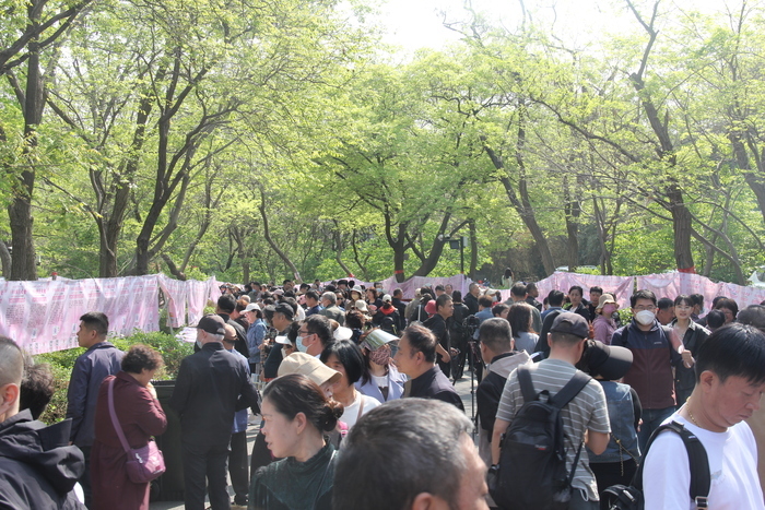 研学、对诗、避暑、赏景……千佛山邀您相约一夏 