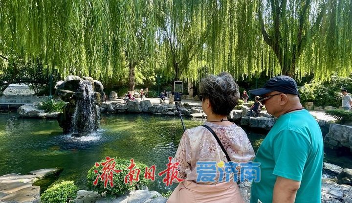 济南地下水位持续攀升，“亲泉”赏景正相宜