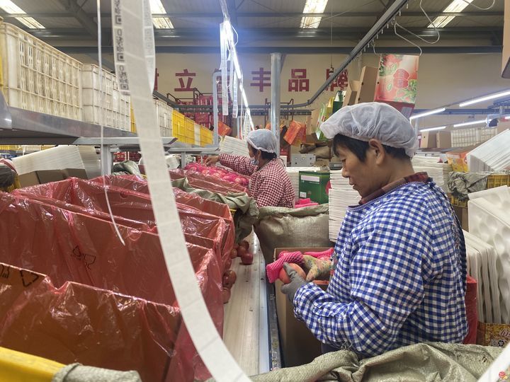 “云话山东”走进烟台