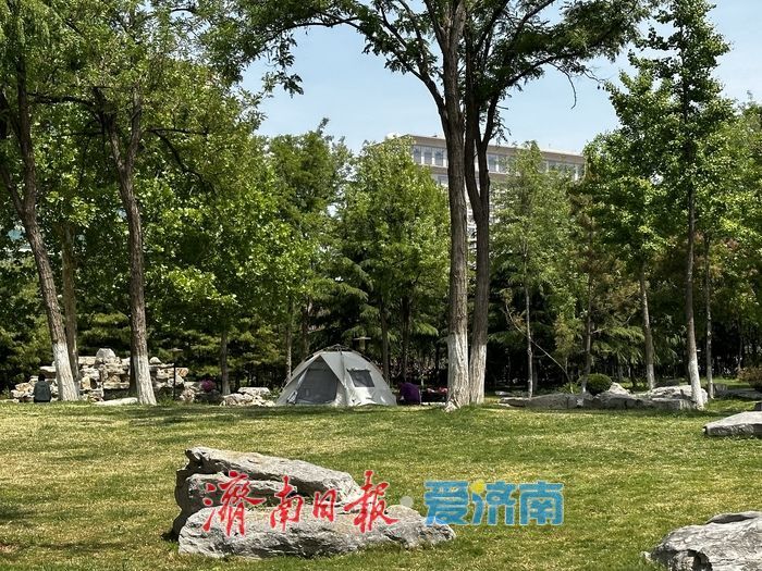 近郊露营“一位难求”？济南市区就有块人少好停车的“宝藏”绿地