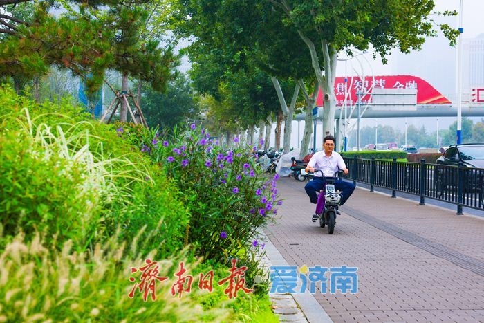 一年四季 泉在济南丨经十路奥体中路街角花园雨后焕新颜