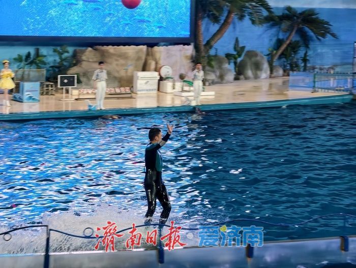“五一”假期，海洋馆文旅消费持续走俏