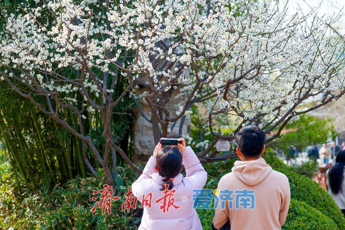 五龙潭公园春意盎然，市民游客共赏春光