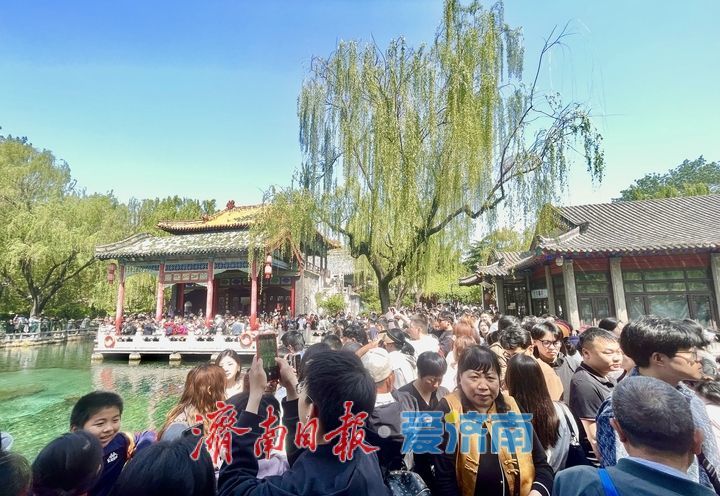 雨润泉涌引客来！趵突泉畔游人如织