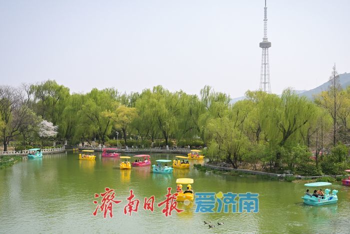 花朝荟引客来，泉城公园赏花热