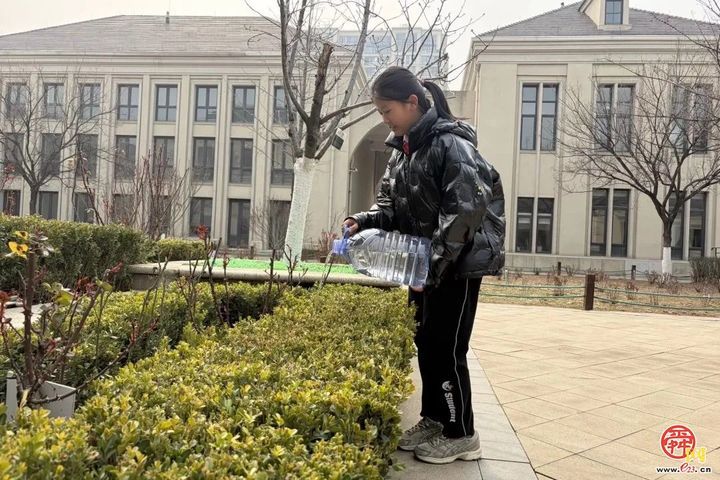 春光作序 植此新绿——济南市历下区龙奥学校植树节主题活动
