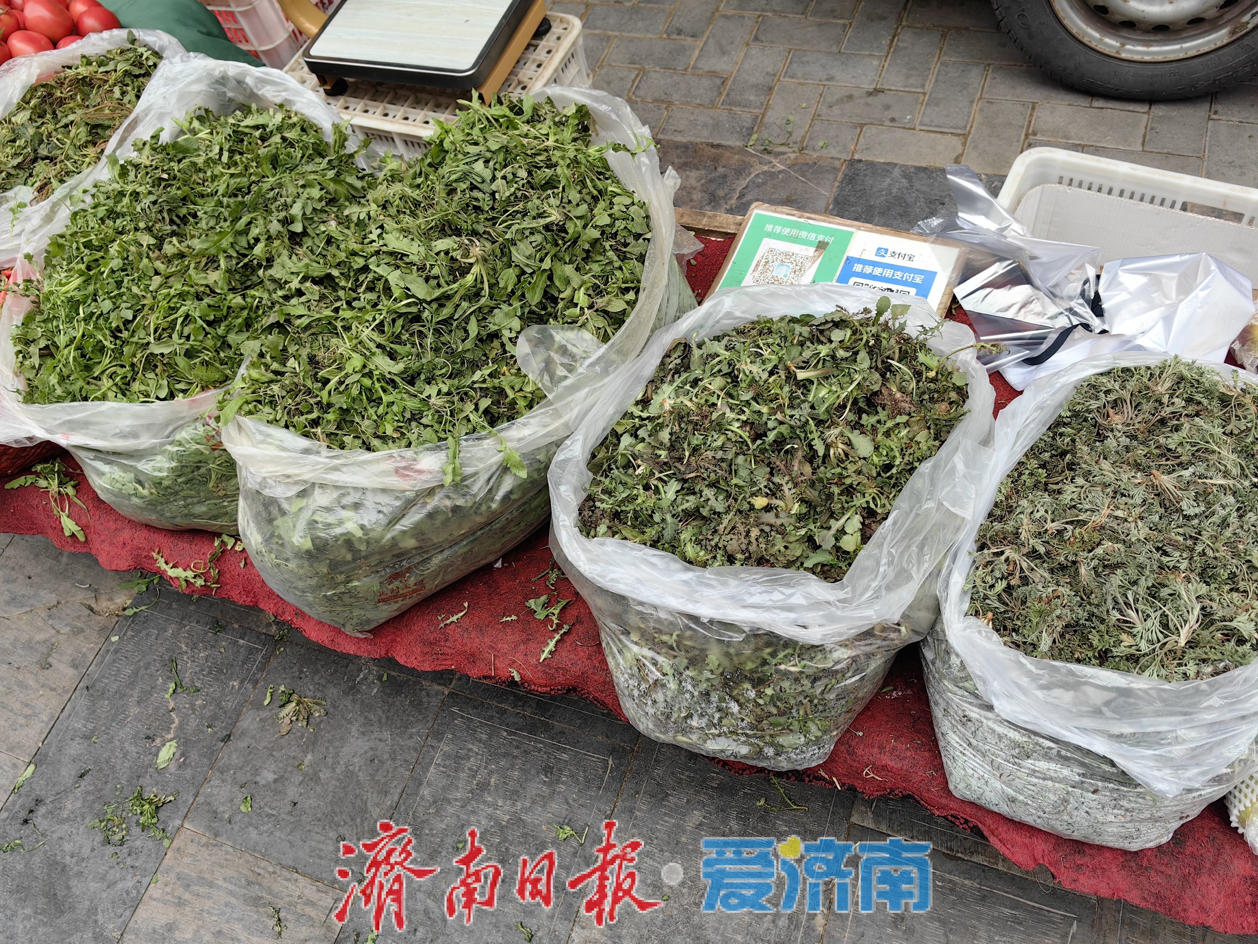 春菜抢“鲜”上市！市民赶集把春天拎回家