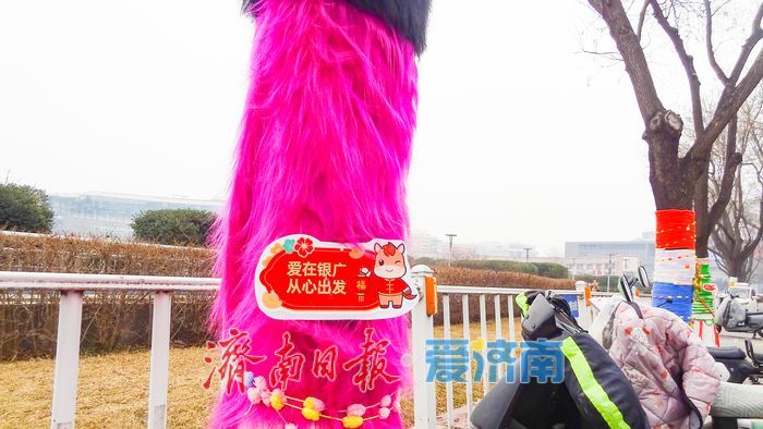 泉城广场树干“穿”彩衣 寒冬添暖又添景