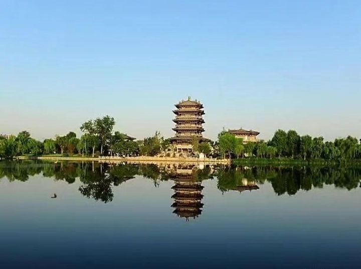 赏泉城美景，品泉城美食！全国粮油展邀您11月6日相约济南