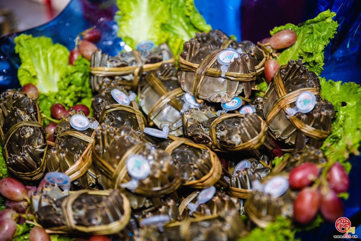 “海味万千·泉城领鲜” 第二届济南海鲜节启幕 邀您畅享海味盛宴！