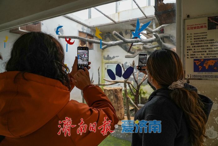 抓住假期的尾巴，寓教于乐欢度寒假