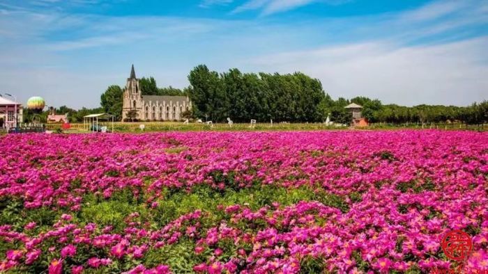 圣井街道：一个“实”字走在春天里   圣井农委