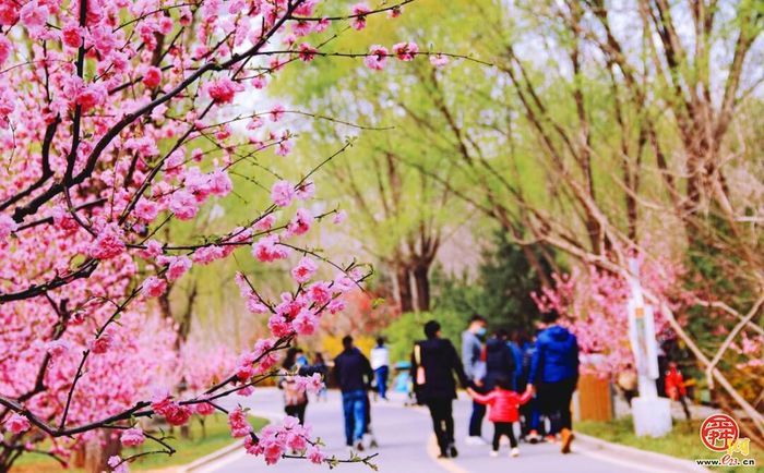 济南野生动物世界特色活动上线！第七届马戏嘉年华重磅来袭萌趣与欢乐双拉满