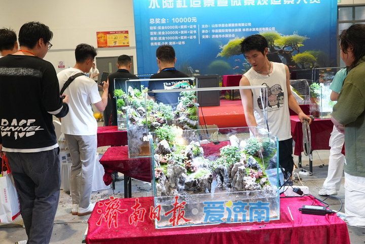 方寸之间藏天地！展会水陆缸微景观造景大赛激战正酣，高手齐聚济南