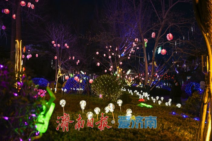 一年四季 泉在济南丨五龙潭花灯点亮泉城夜 市民游客争相打卡寻年味