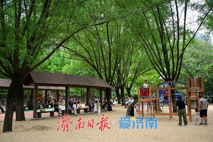 济南森林公园儿童游乐场：开学前的自然游乐之选