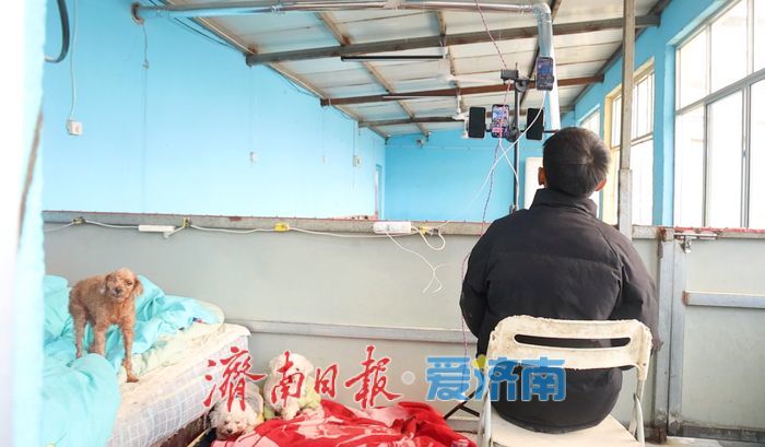 探访济南最大流浪动物基地 3000只“毛孩子”如何过冬