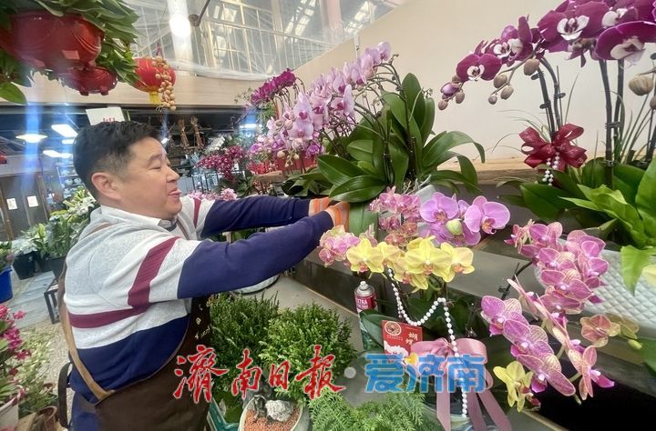济南年宵花市场供销两旺 蝴蝶兰、杜鹃、大花蕙兰受热捧