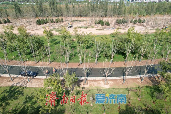 大河之畔植新绿 济南黄河生态廊道造林忙