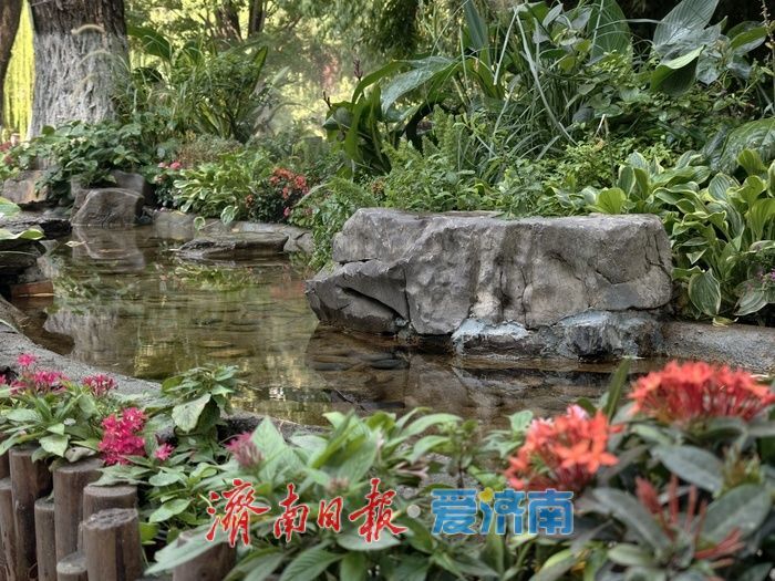 雾起溪畔，在园林间遇见清泉漫石之美