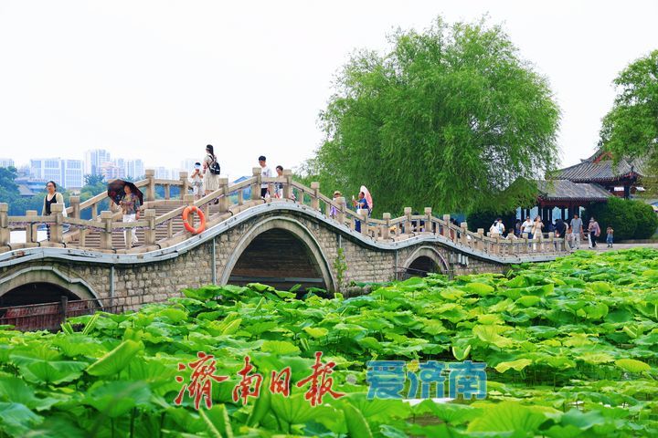 漫步湖畔赏美景 欢度端午享闲暇