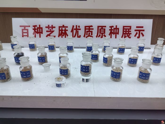 “云话山东”走进滨州