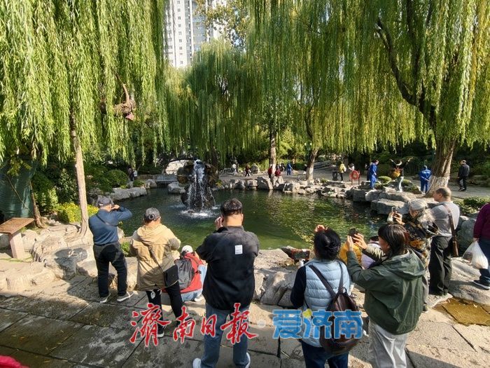 清泉汩汩映晴空，“月牙飞瀑”醉初冬