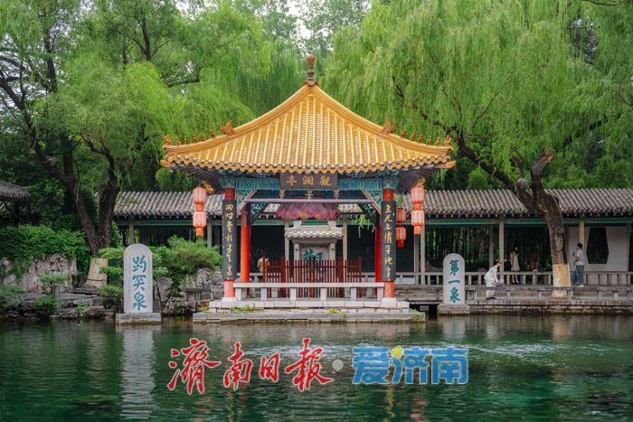 一年四季 泉在济南丨降雨过后，济南趵突泉水位上升至28.09米