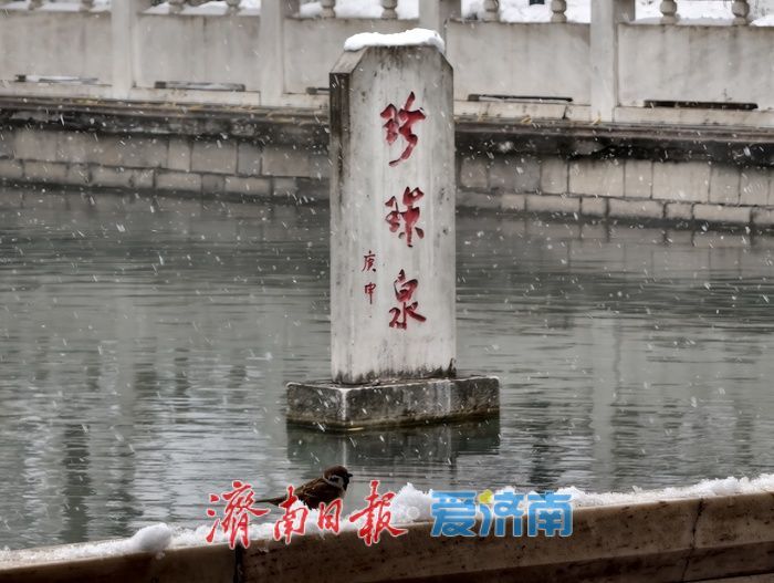 一年四季 泉在济南丨济南珍珠泉银装素裹更显灵动